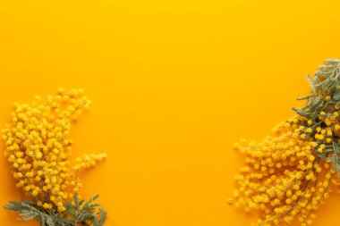 Sarı arka planda sarı çiçek deseni. Bahar selamlaması c