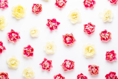 Pastel arka planda bahar çiçekleri laleleri. Retro vintage