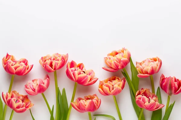 봄 꽃, 튤립 파스텔 색상 배경입니다. 레트로 게임 — 스톡 사진