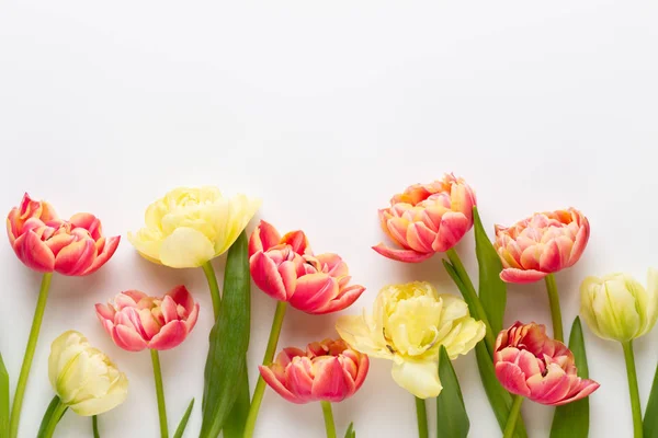 Весенние цветы, тюльпаны на фоне пастельных цветов. Ретро-винтаг — стоковое фото