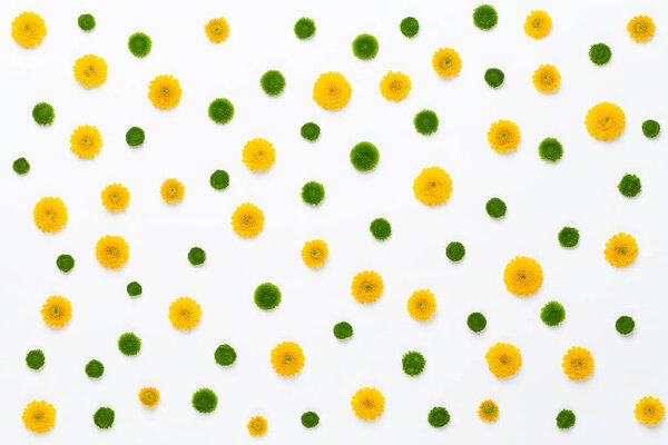 Flowers composition. Pattern made of yellow flowers on white bac