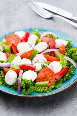 Sebze salatası peynir Mozzarella peyniri, domates, basilikum ve 