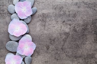 Spa çiçekler ve gri arka plan üzerine masaj taşı.