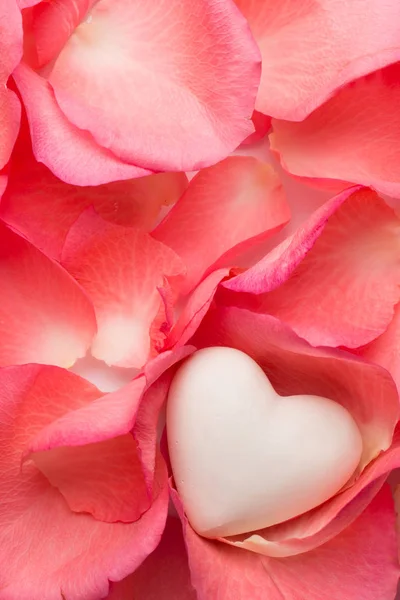 Petali di rosa di colore corallo vivo fine cuore . — Foto Stock