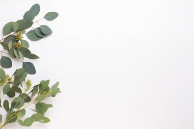 Çiçekler ve okaliptüs kompozisyon. Desen çeşitli colo yaptı