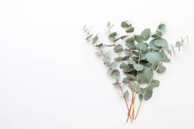 Çiçek ve eucaaliptus bileşimi. Desen çeşitli col yaptı