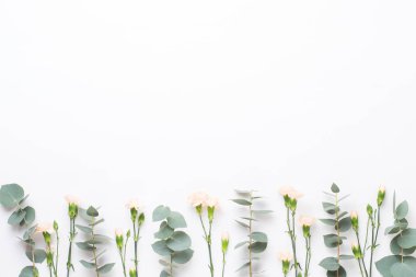 Çiçek ve eucaaliptus bileşimi. Desen çeşitli col yaptı