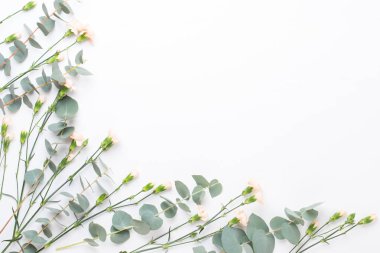 Çiçek ve eucaaliptus bileşimi. Desen çeşitli col yaptı