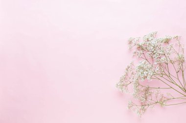 Çiçek kompozisyon. Pastel pembe adam Gypsophila çiçekler