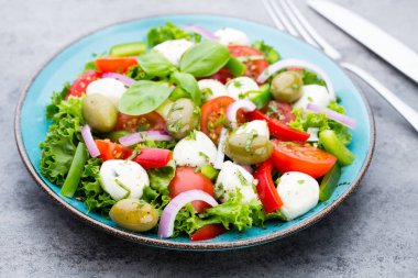 Sebze salatası peynir Mozzarella peyniri, domates, basilikum ve 