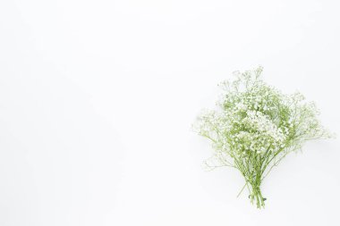 Çiçek kompozisyon. Pastel pembe adam Gypsophila çiçekler