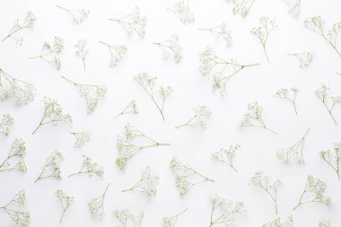 Çiçek kompozisyon. Pastel pembe adam Gypsophila çiçekler