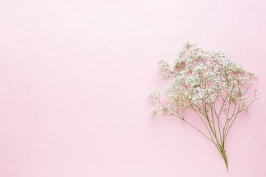 Çiçek kompozisyon. Pastel pembe adam Gypsophila çiçekler