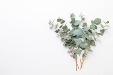 Çiçek ve eucaaliptus bileşimi. Desen çeşitli col yaptı