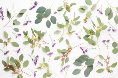 Çiçekler ve okaliptüs kompozisyon. Desen çeşitli colo yaptı