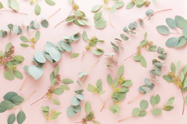 Çiçek ve eucaaliptus bileşimi. Desen çeşitli col yaptı