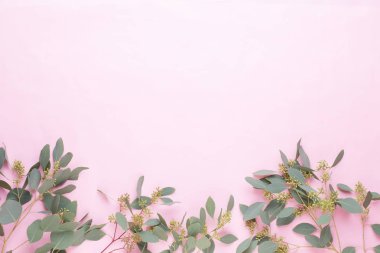 Çiçekler ve okaliptüs kompozisyon. Desen çeşitli colo yaptı