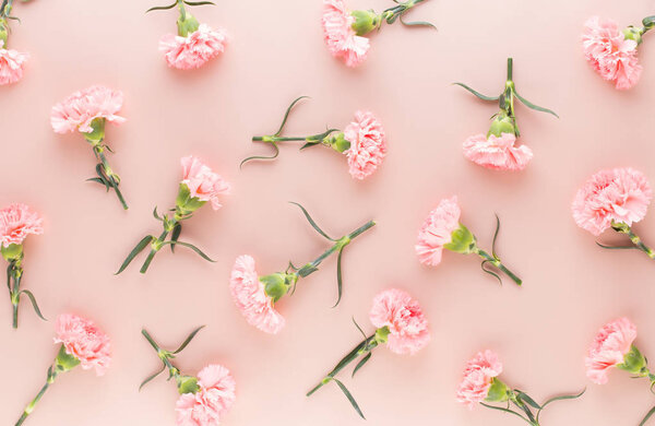 Pink carnation flowers on pastel background. Flat lay, top view,