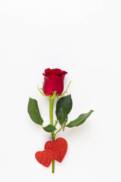 Rode roos bloemen op witte achtergrond. Plat lag, top uitzicht, kopie s — Stockfoto