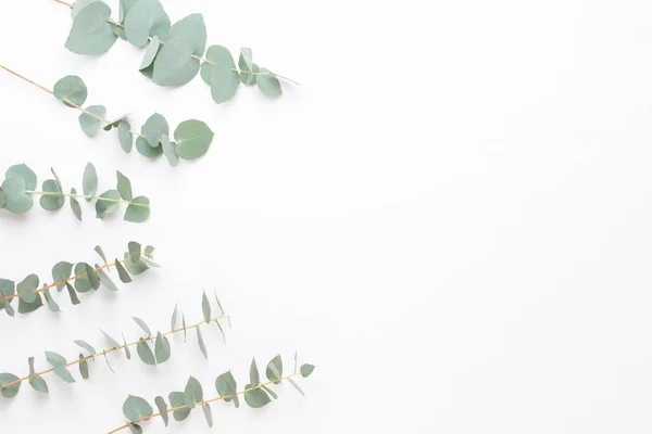 Blumen und Eukalyptus-Komposition. Muster aus verschiedenen Spulen — Stockfoto