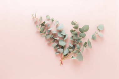 Çiçek ve eucaaliptus bileşimi. Desen çeşitli col yaptı