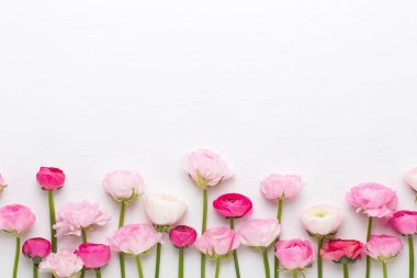 Beyaz bir arka plan üzerinde güzel renkli tipik çiçekler.