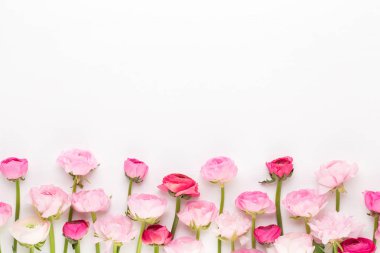 Beyaz bir arka plan üzerinde güzel renkli tipik çiçekler.