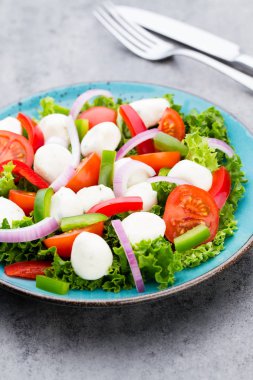 Sebze salatası peynir Mozzarella peyniri, domates, basilikum ve 