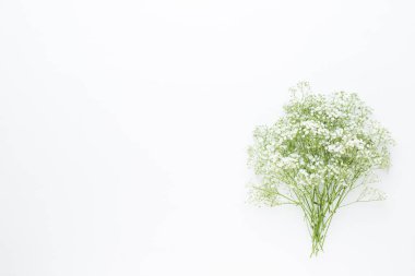 Çiçek kompozisyon. Pastel pembe adam Gypsophila çiçekler