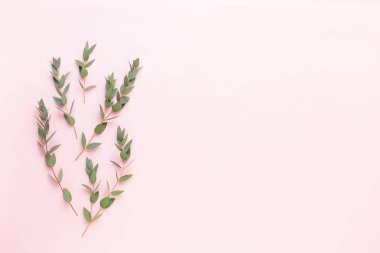 Çiçek ve eucaaliptus bileşimi. Desen çeşitli col yaptı