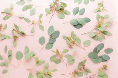 Çiçek ve eucaaliptus bileşimi. Desen çeşitli col yaptı