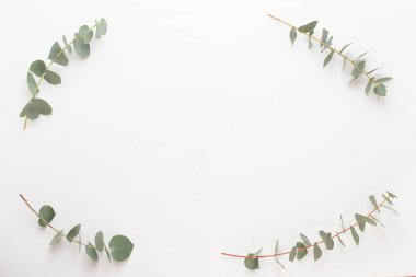 Çiçek ve eucaaliptus bileşimi. Desen çeşitli col yaptı