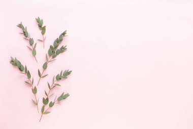 Çiçek ve eucaaliptus bileşimi. Desen çeşitli col yaptı