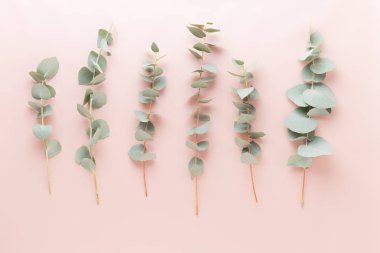 Çiçek ve eucaaliptus bileşimi. Desen çeşitli col yaptı