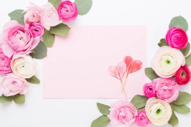 Beyaz bir arka plan üzerinde güzel renkli tipik çiçekler. Spri