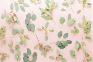 Çiçek ve eucaaliptus bileşimi. Desen çeşitli col yaptı