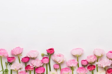 Beyaz bir arka plan üzerinde güzel renkli tipik çiçekler.