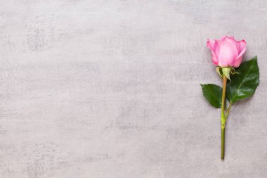 Çiçekler sevgililer günü kompozisyonu. GR üzerindeki pembe gülden yapılmış çerçeve