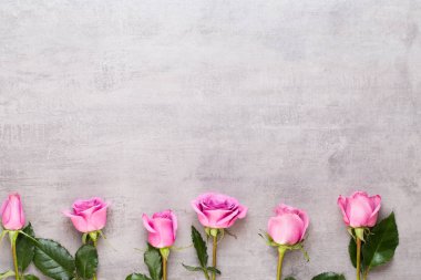 Çiçekler sevgililer günü kompozisyonu. GR üzerindeki pembe gülden yapılmış çerçeve