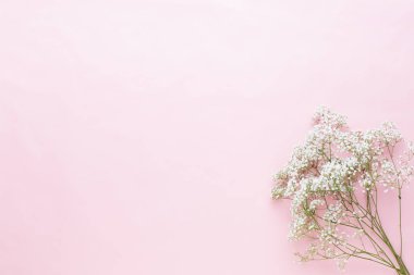 Çiçek kompozisyon. Pastel pembe adam Gypsophila çiçekler
