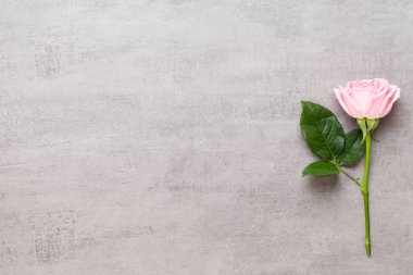 Çiçekler sevgililer günü kompozisyonu. GR üzerindeki pembe gülden yapılmış çerçeve