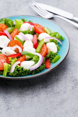 Sebze salatası peynir Mozzarella peyniri, domates, basilikum ve 