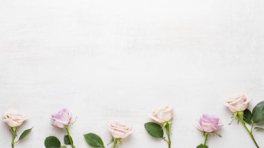 Çiçek kompozisyon. Pembe Gül gri arka plan üzerinde çerçeve yapılmış.