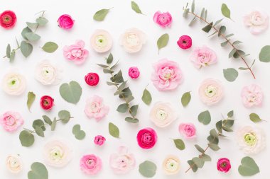 Beyaz bir arka plan üzerinde güzel renkli tipik çiçekler. Sprin