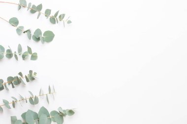 Çiçek ve eucaaliptus bileşimi. Desen çeşitli col yaptı