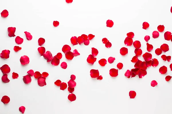 Valentine's Day. Płatki kwiatów róży na białym tle. Walentną — Zdjęcie stockowe