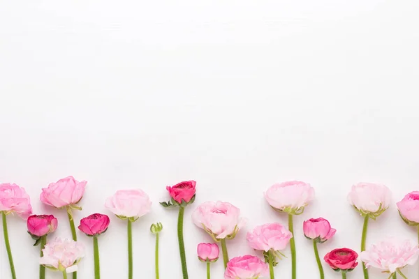 흰색 바탕에 아름 다운 컬러 라 꽃. — 스톡 사진