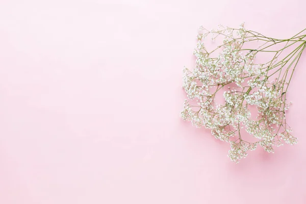 Composición de flores. Flores de gypsophila sobre fondo rosa pastel — Foto de Stock