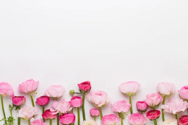 Beyaz bir arka plan üzerinde güzel renkli tipik çiçekler.