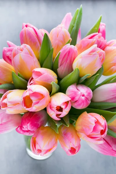 Tulpe, Blumen auf dem grauen Hintergrund. — Stockfoto